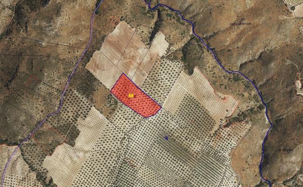 Terreno en Paraje de la Doctora s/n