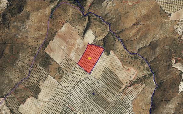 Terreno en Paraje de la Doctora s/n