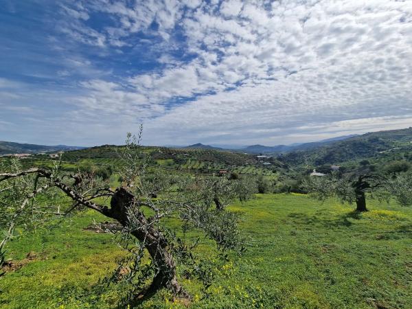 Terreno en camino de Estepera s/n