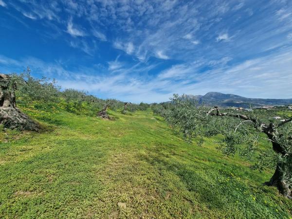 Terreno en camino de Estepera s/n