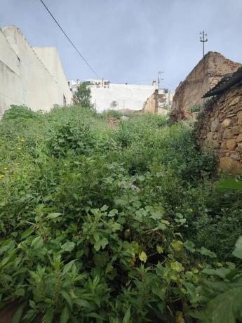 Terreno en Moclinejo