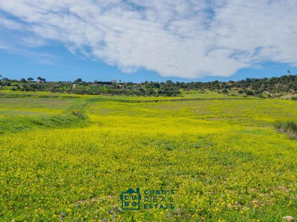 Terreno en Arroyo del Acebuchal s/n