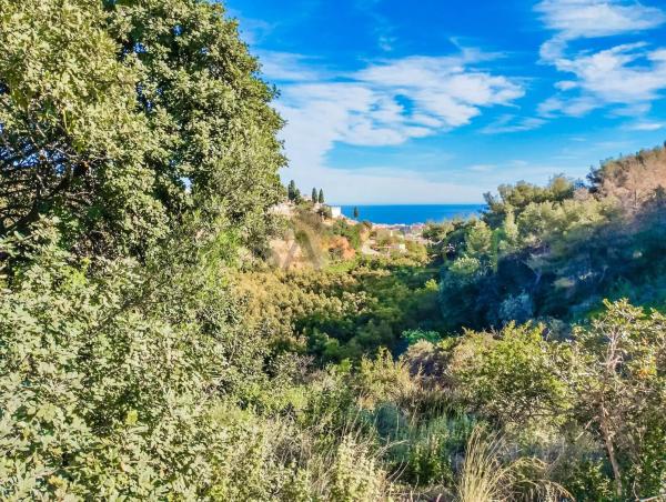 Terreno en Frigiliana