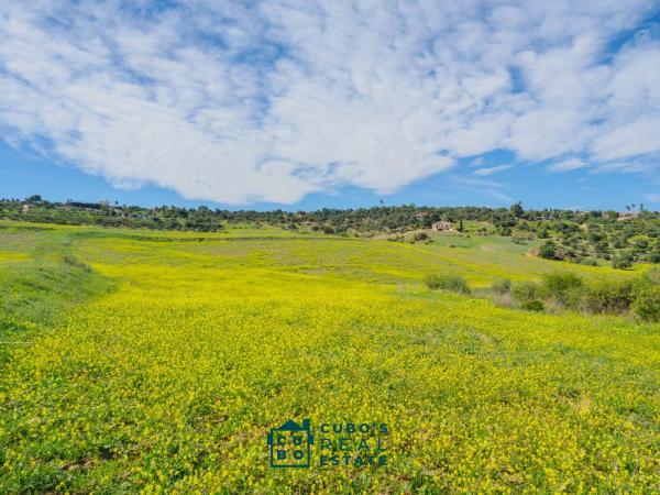 Terreno en Arroyo del Acebuchal s/n