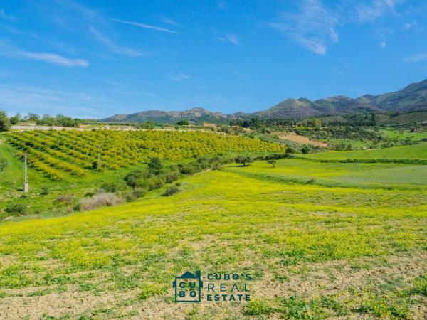 Terreno en Arroyo del Acebuchal s/n