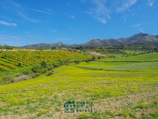 Terreno en Arroyo del Acebuchal s/n