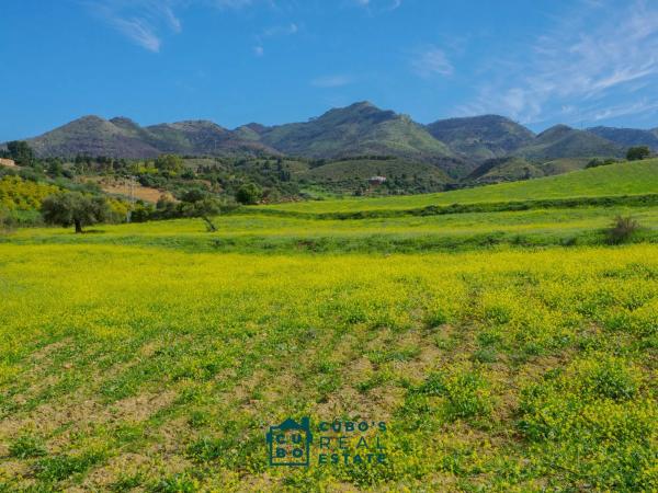 Terreno en Arroyo del Acebuchal s/n