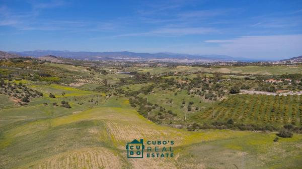 Terreno en Arroyo del Acebuchal s/n