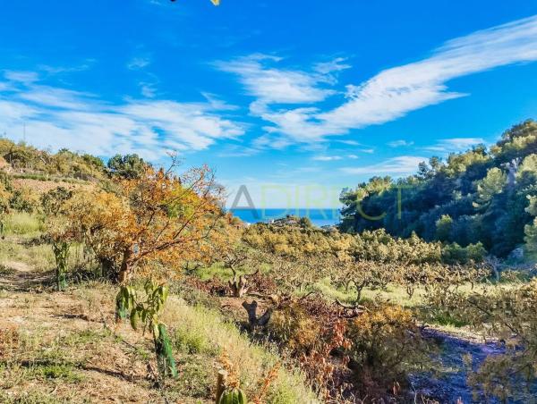 Terreno en Frigiliana