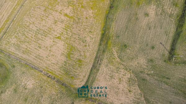 Terreno en Arroyo del Acebuchal s/n