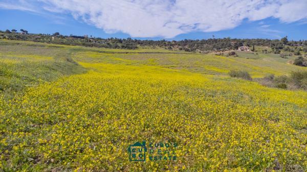 Terreno en Arroyo del Acebuchal s/n