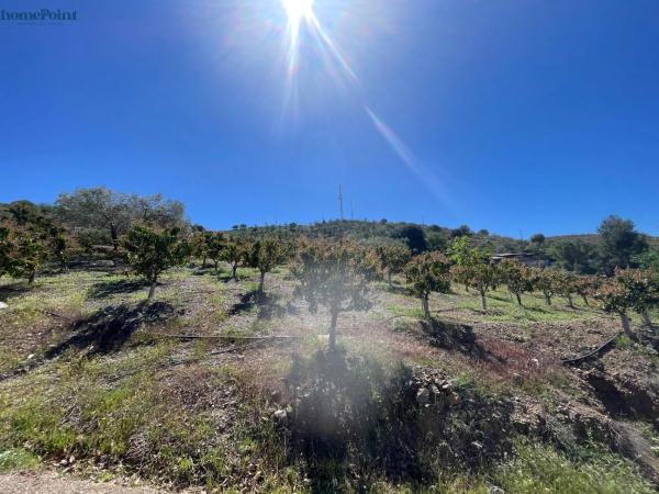 Terreno en Diseminados