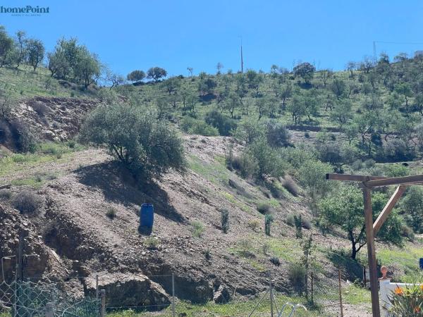 Terreno en Diseminados