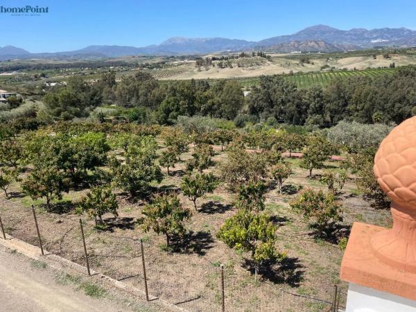 Terreno en Diseminados