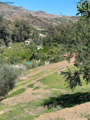 Terreno en Diseminados