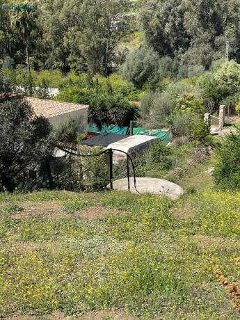 Terreno en Diseminados