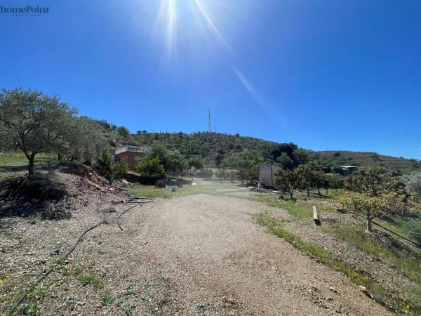 Terreno en Diseminados