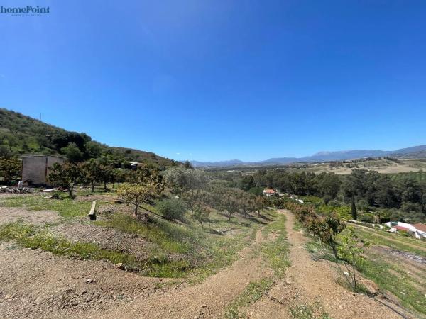 Terreno en Diseminados