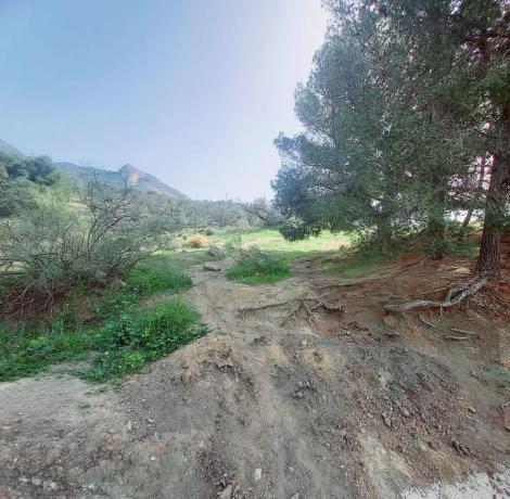 Terreno en Canillas de Aceituno