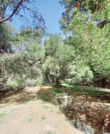 Terreno en Canillas de Aceituno