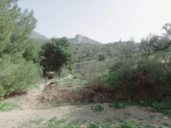 Terreno en Canillas de Aceituno