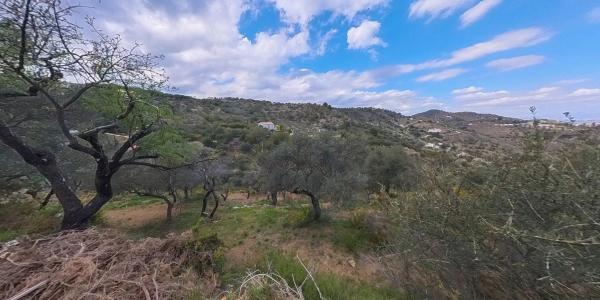 Terreno en Los Pechos, 1