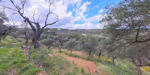 Terreno en Los Pechos, 1