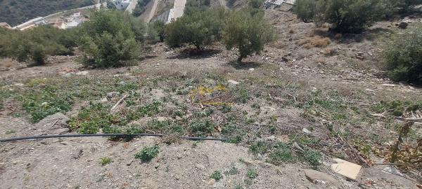 Terreno en Torrox Pueblo