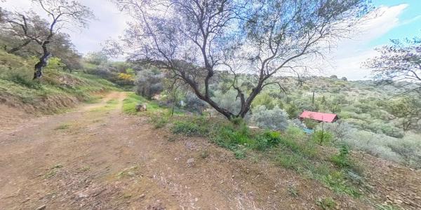 Terreno en Los Pechos, 1