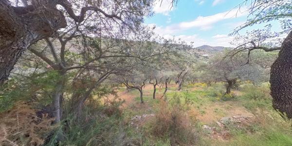 Terreno en Los Pechos, 1