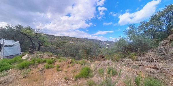 Terreno en Los Pechos, 1