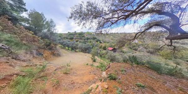 Terreno en Los Pechos, 1