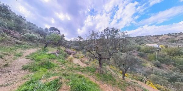 Terreno en Los Pechos, 1