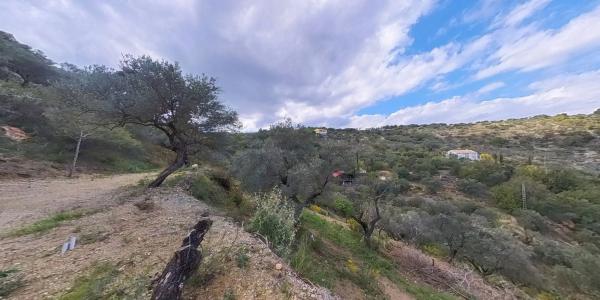 Terreno en Los Pechos, 1