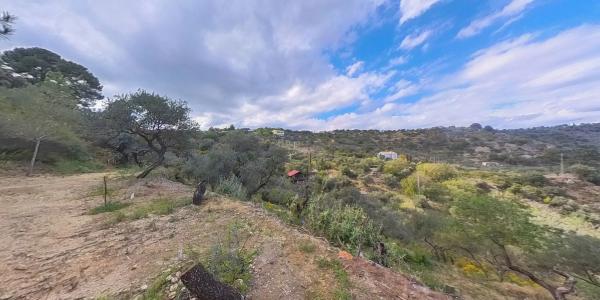 Terreno en Los Pechos, 1