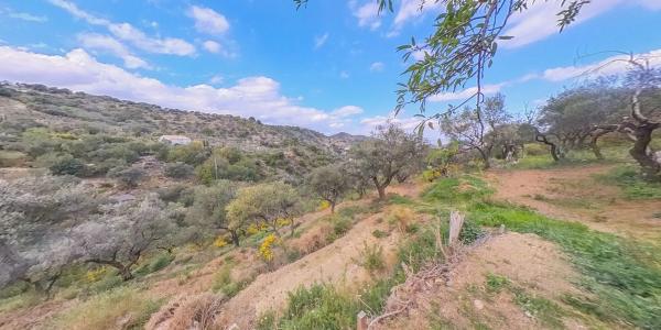 Terreno en Los Pechos, 1