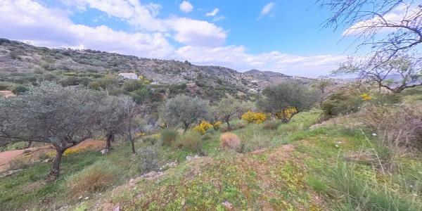 Terreno en Los Pechos, 1