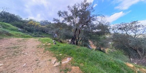 Terreno en Los Pechos, 1