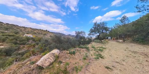 Terreno en Los Pechos, 1