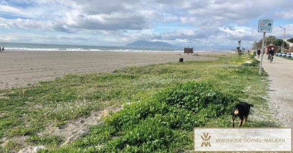 Terreno en Playa del Rincón