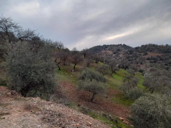 Terreno en Guaro Viejo s/n