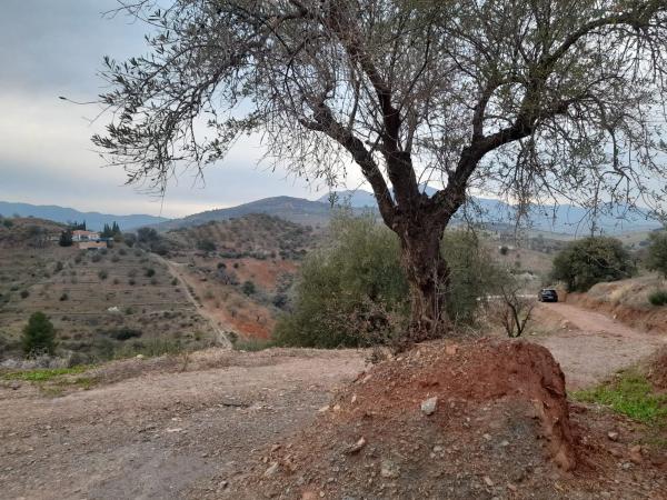 Terreno en Guaro Viejo s/n