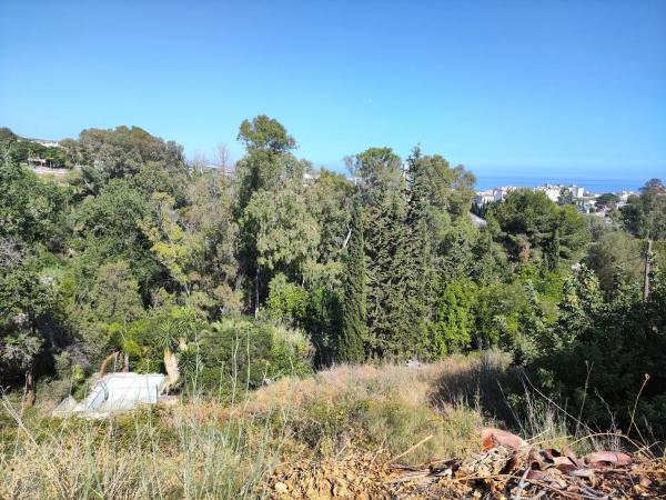 Terreno en calle San Francisco, 12