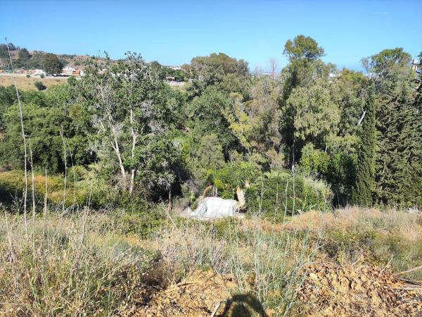 Terreno en calle San Francisco, 12