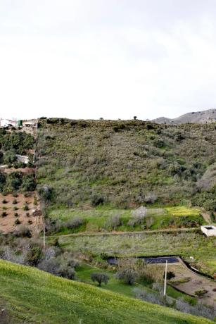 Terreno en Cortijo los Pérez s/n