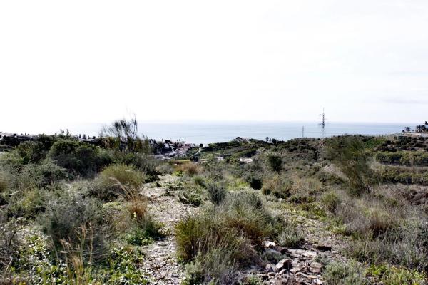 Terreno en Cortijo los Pérez s/n