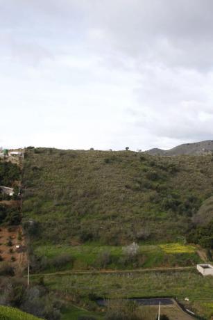 Terreno en Cortijo los Pérez s/n