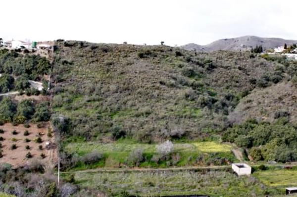 Terreno en Cortijo los Pérez s/n