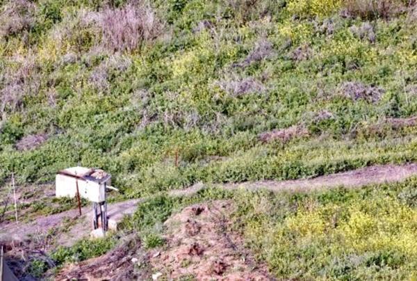 Terreno en Cortijo los Pérez s/n