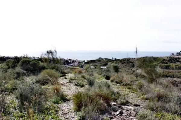 Terreno en Cortijo los Pérez s/n